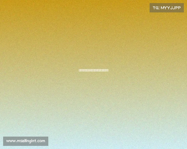 足球转会市场风险管理与控制策略研究报告 足球转会市场风险管理与控制策略研究报告